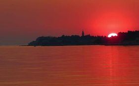 Apartment Novigrad City Centre